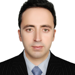 Sayed Mir Shah Danish's profile picture