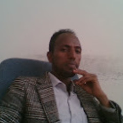 Hailay Hailay's profile picture