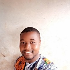 Christopher  Ugwu's profile picture