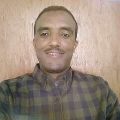 Kahsay Tadesse  Mawcha's profile picture