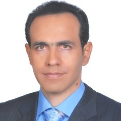 Mohsen Mosayebi's profile picture