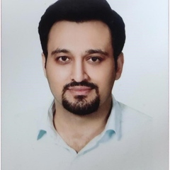 Navid Razmjooy's profile picture