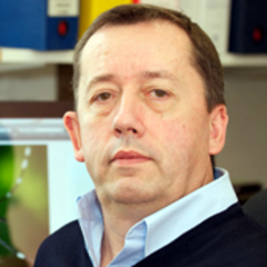 philippe Desprès's profile picture