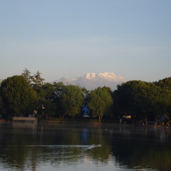 Jose Alberto Ariza Ortega's profile picture