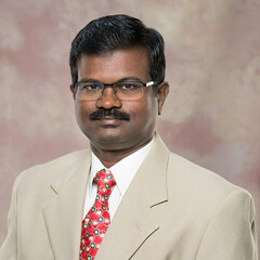 PALANISAMY SELVAMANI's profile picture