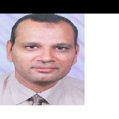 Abouelela Hussein's profile picture