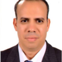 Abdelfattah El-Atik's profile picture