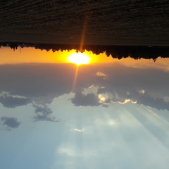 Khondoker Mottaleb's profile picture