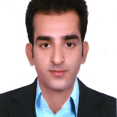 Mohammad Tahan's profile picture