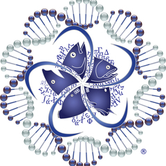 Jose De La Cruz-Agüero's profile picture