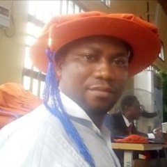 Ugochukwu Ugwu's profile picture