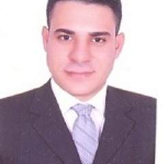 Botros Abdelnaser Masry's profile picture