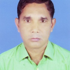 Md. Shajedul  Islam 's profile picture