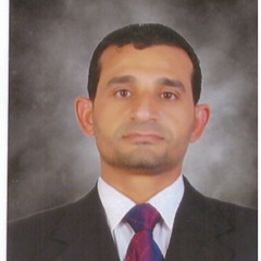 Mohamed Gomaa's profile picture