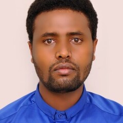 Tsegaye Ayele's profile picture