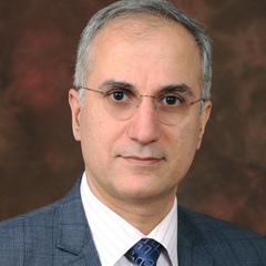 Reza FathollahZadeh Aghdam's profile picture