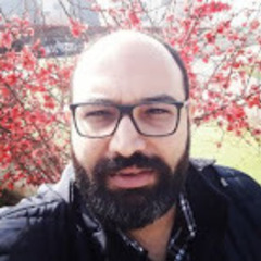 Hamidreza Mahini's profile picture