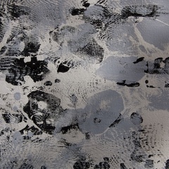 Paul Reynolds's profile picture