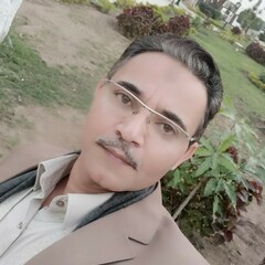 Ismail  El-Gendy's profile picture