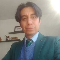 David Valle-Cruz's profile picture