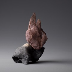 Michaela Pegum's profile picture