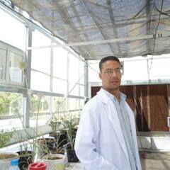 Ramzi Amari's profile picture