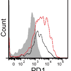 Bin Wei's profile picture