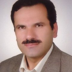 Jalil Pirayesh Islamian's profile picture