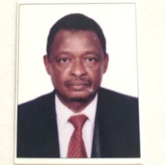 Omer Abdelbasit's profile picture