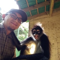 José Eduardo Reynoso Cruz's profile picture