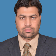 Syed Ali's profile picture