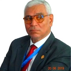 Abdelmonem Hegazy's profile picture