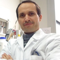 Nodirali Normakhamatov's profile picture