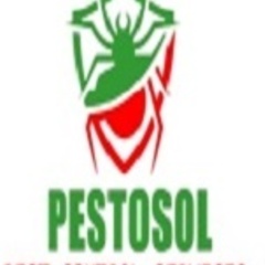 pestosol hyderabad's profile picture