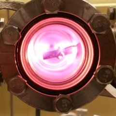 Michael Bradley's profile picture