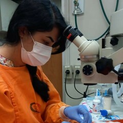 Zeinab Ghasemishahrestani's profile picture