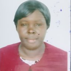 Leesi Sapira-Ordu's profile picture