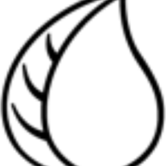 Chlorophyll  Water's profile picture