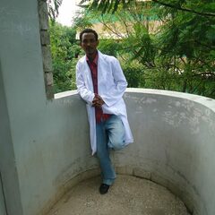 Fisseha   Gebremeskel's profile picture