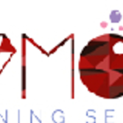 Red Diamond  Cleaning Service's profile picture
