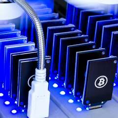 Bitcoin Miner  Hosting's profile picture