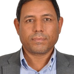 Mabrouk Elsabagh's profile picture