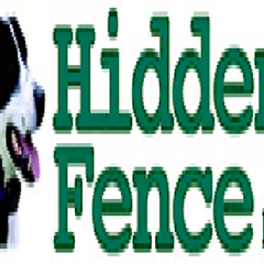 hidden fence's profile picture