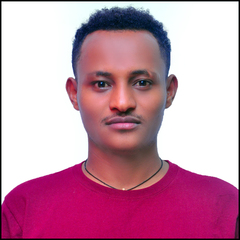 Amlaksetegn Edeo's profile picture