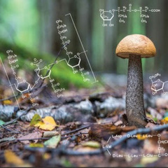 Hussam   Abdullah 's profile picture