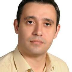 Reza Taherkhani's profile picture