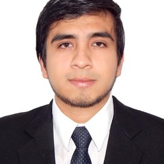 Daniel Mendoza-Quispe's profile picture