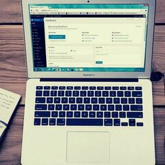 lenji haugan's profile picture