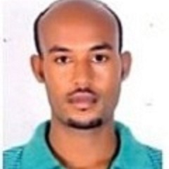 Yilkal Dessie's profile picture