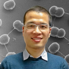 Wenyi Li's profile picture